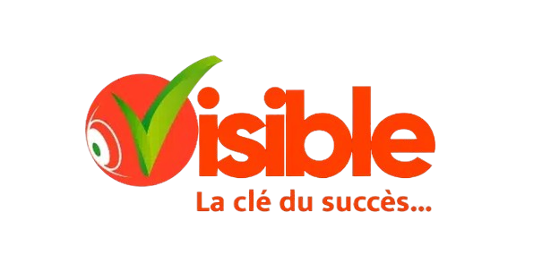 Logo_Visible-removebg-preview